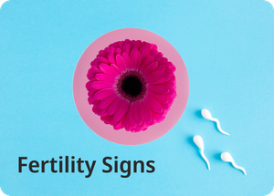Ovulation 101 - Fertility Signs