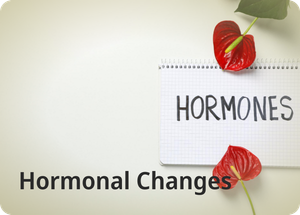 Ovulation 101 - Hormonal Changes