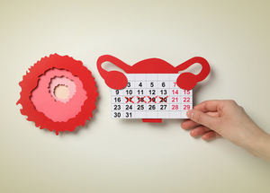 Periods 101 - Menstrual Cycle