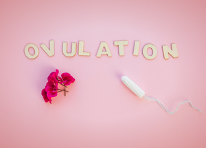 Periods 101 - Understanding Ovulation