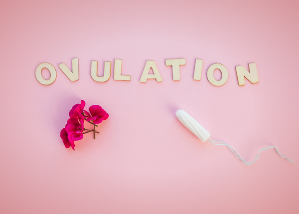 Periods 101 - Understanding Ovulation